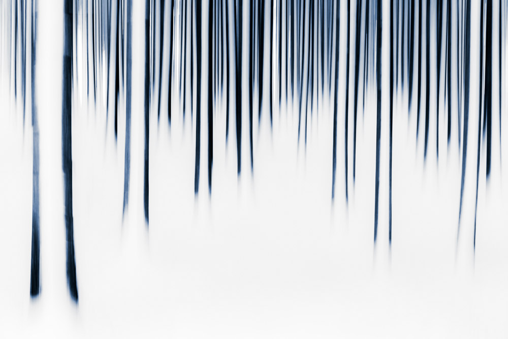 Monatsbilder Maerz 2022